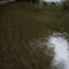 水の流れ