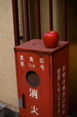 果実と町