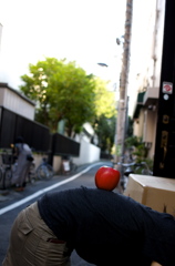 果実と町