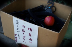果実と町