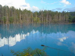 R0012094