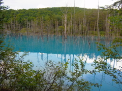 R0012085