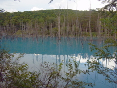 R0012086