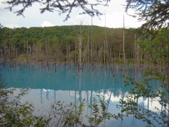 R0012083