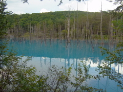R0012084
