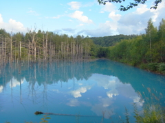 R0012097