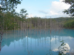 R0012104