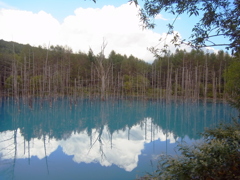 R0012089