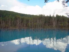 R0012088