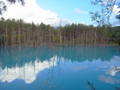 R0012091