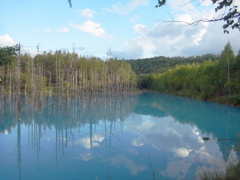 R0012100