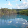 R0012100