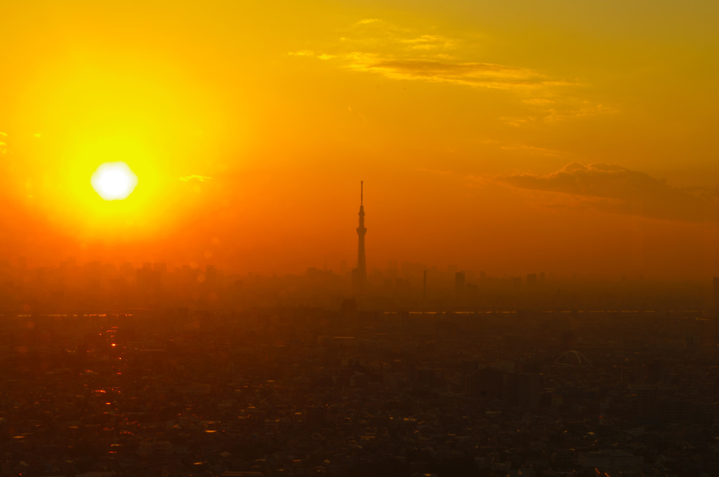 スカイツリーに落ちる太陽