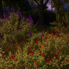 RED and PURPLE