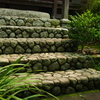 六月の明月院５
