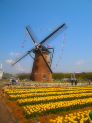 windmill