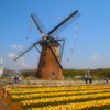 windmill