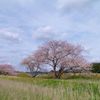 春の空