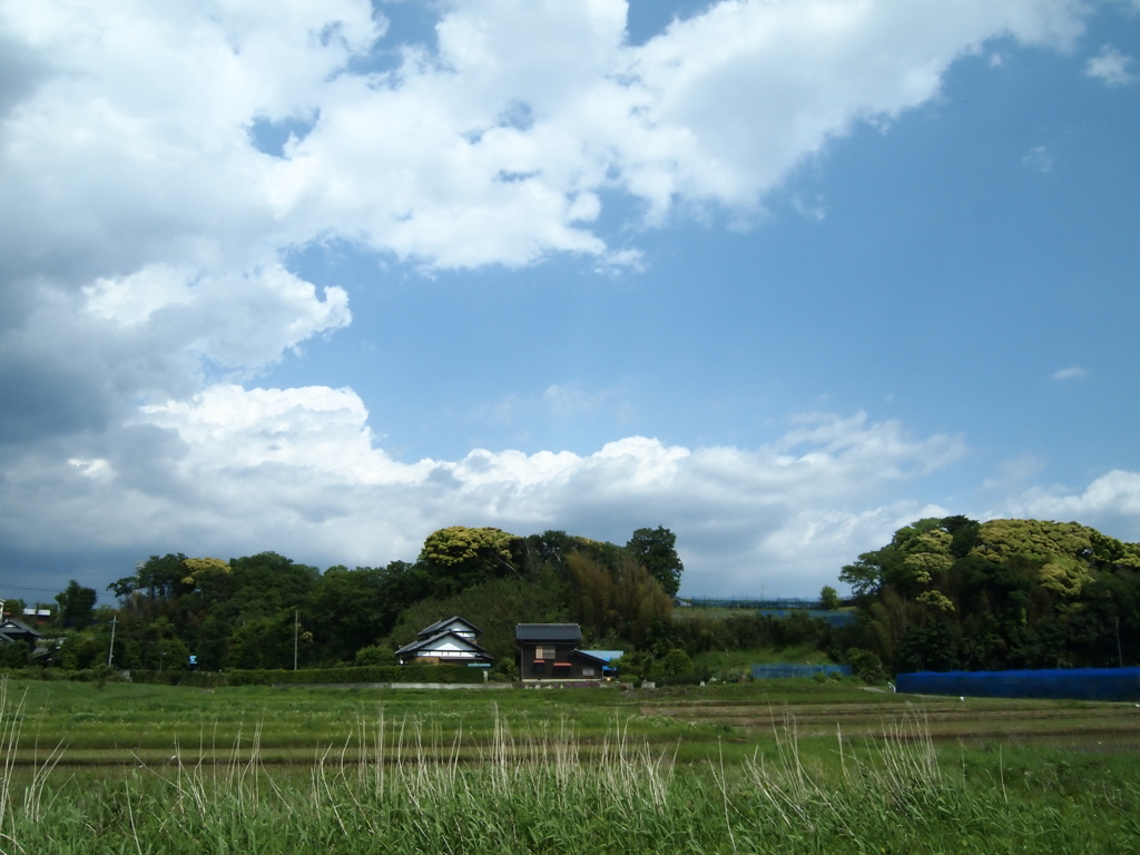 初夏