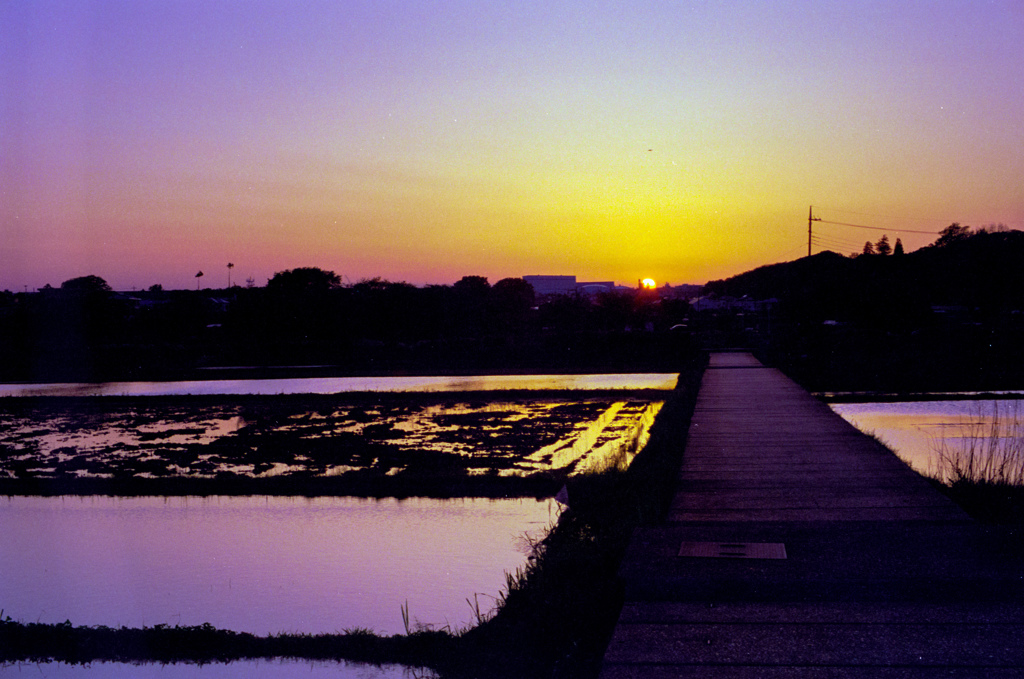 田植え前