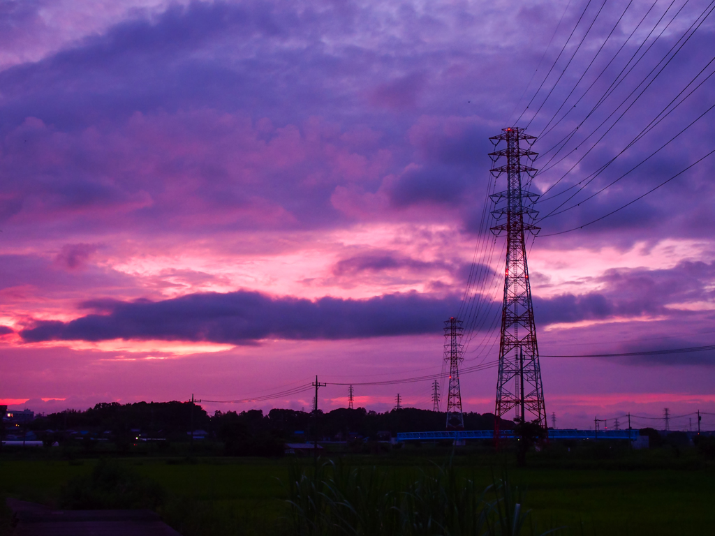 明日は雨