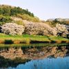 川面に映える