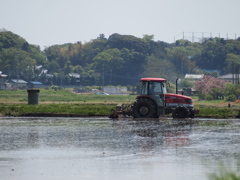 田植えの準備