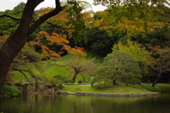 徐々に色付く小石川後楽園