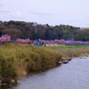 Pink Line