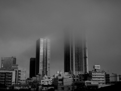 霞