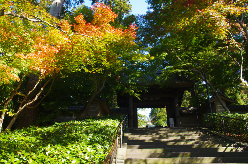 円覚寺総門