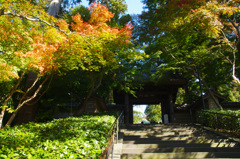 円覚寺総門