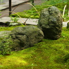 六月の明月院７