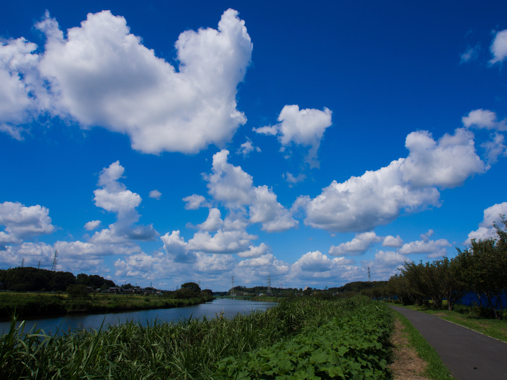 夏の名残雲