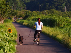 夕方のお散歩