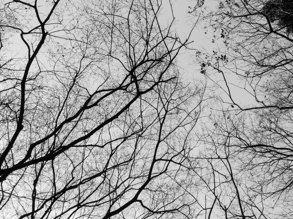 abstract