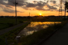 田園