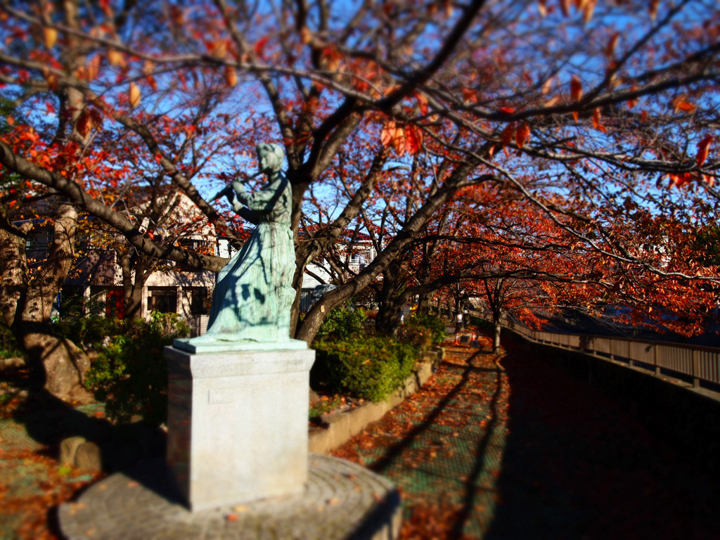 桜並木の紅葉