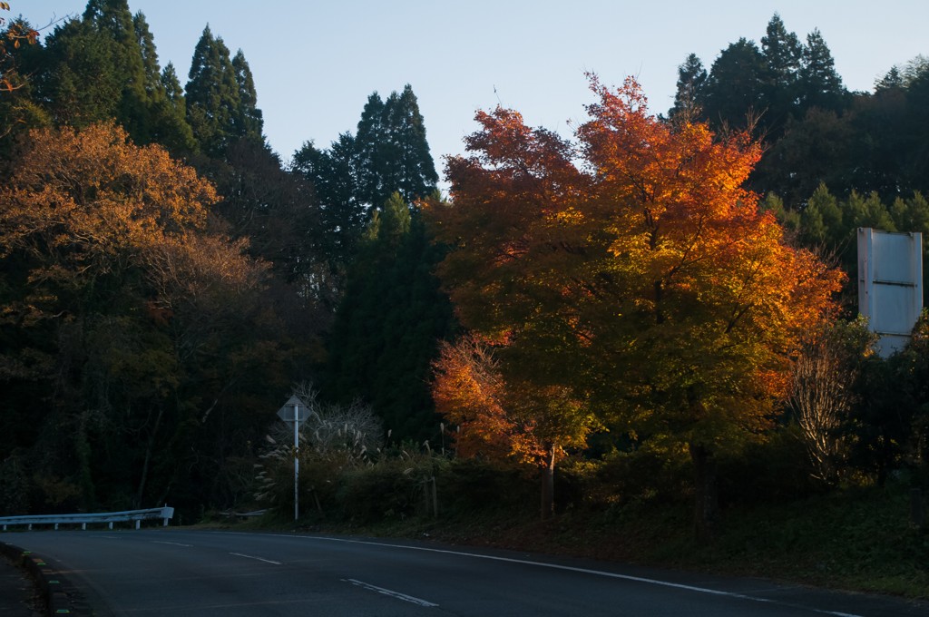 峠の紅葉