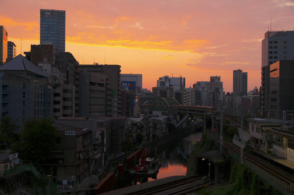 神田川の曙