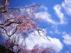 行雲