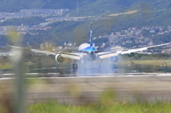 DPP_0043