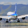 DPP_0042