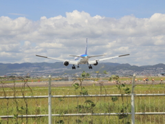 DPP_0017