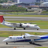 DPP_0009