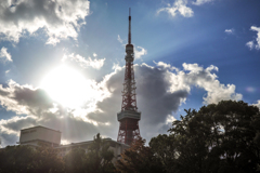 芝公園さんぽ