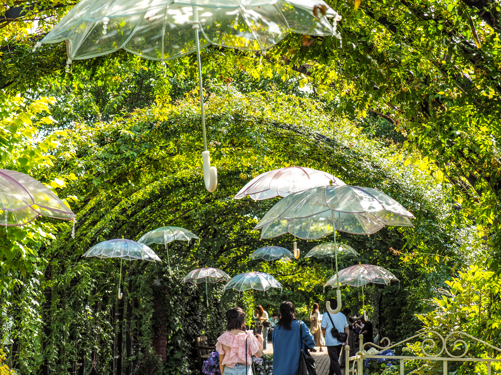 横浜イングリッシュガーデン