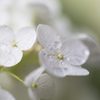 雨の日はどうも苦手なのよね