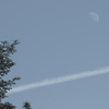 月と空と木