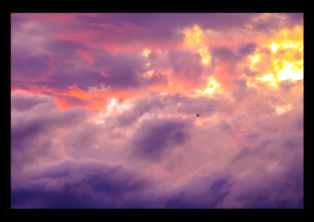 雲海を行く